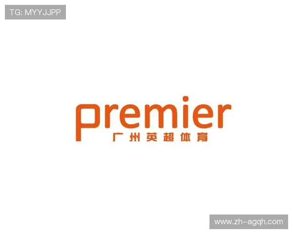 体育行业中英超球队常见的四字品牌有哪些?