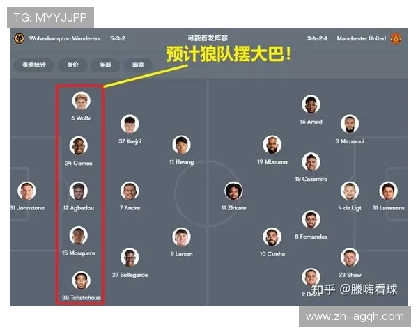 英超狼队最新引援球员名单及实力评估