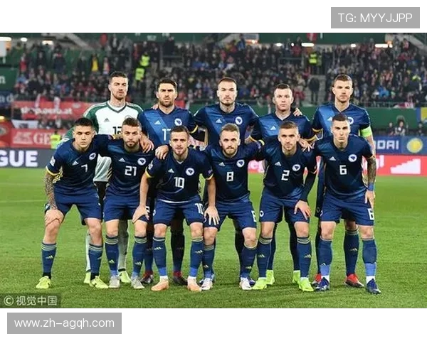 德甲中拥有奥地利籍球员最多的球队阵容分析