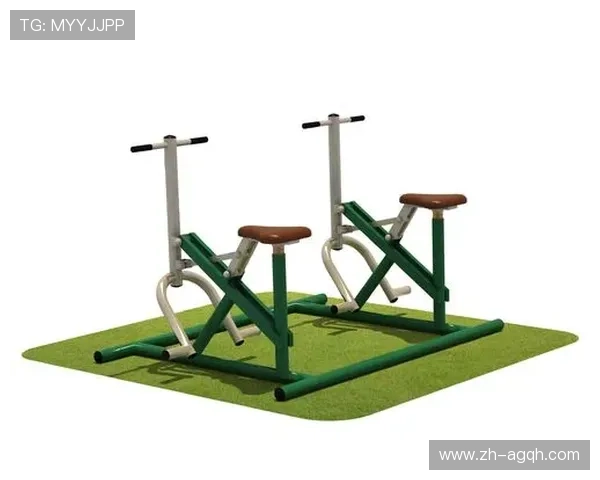 阳锐健身器材官网正品直销专业运动器械